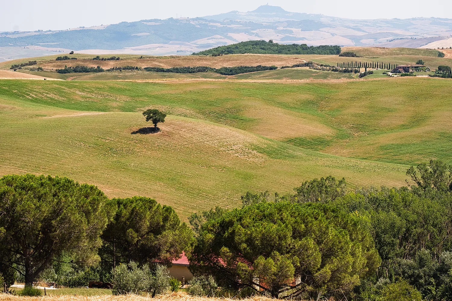 Crete Senesi